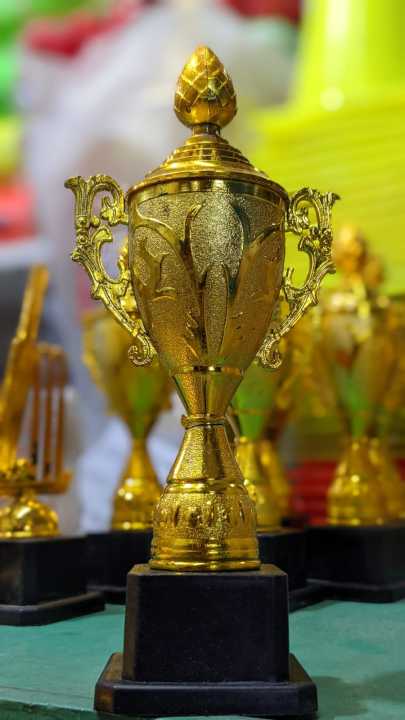 Gold%20Color%20Cricket%20&%20Football%208%20Inch%20Mini%20Trophy%20-%20Cricket%20mini%20trophy%20-%20Football%20mini%20trophy%20-%20Mini%20trophy%20-%20Image%202