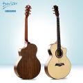 Deviser LS-161N-EQ Acoustic Guitar LS-161N-EQ. 