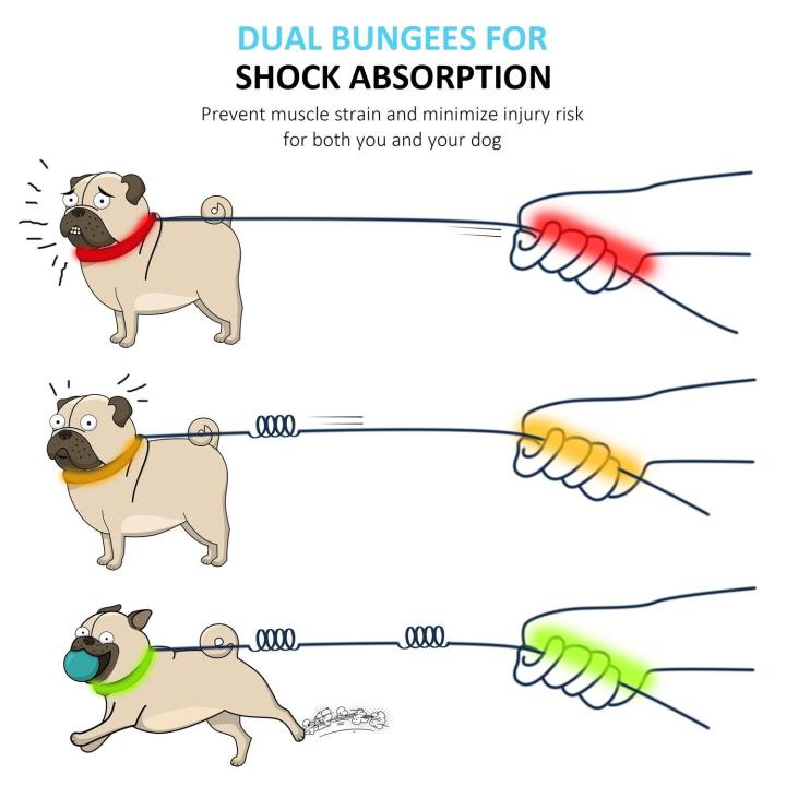 Cute%20#Lake%20Blue%20Direct%20pet%20supplies%20multi-function%20running%20reflective%20pull%20dog%20leash%20double%20elastic%20dog%20leash%20traction%20-%20Image%207