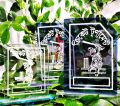 Cricket Award - Mini Trophy - Crest - Recognize Achievements In Cricket With These Mini Trophies Or Crests - Perfect For Award Ceremonies And Competitions. 