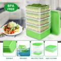 Seed Sprouting Kits Seedling Starter Tray with Lid Versatile Germinate Seeds Indoors Grower for. 