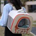 Cat Cats Bag, when Going Out, Travel Bag, Unique Breathable with Shoulder Strap red. 