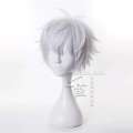 Anime Jujutsu Kaisen Gojo Satoru Release State Wig Cosplay Synthetic Wigs Playing Powder Short Sier White Hair Halloween. 