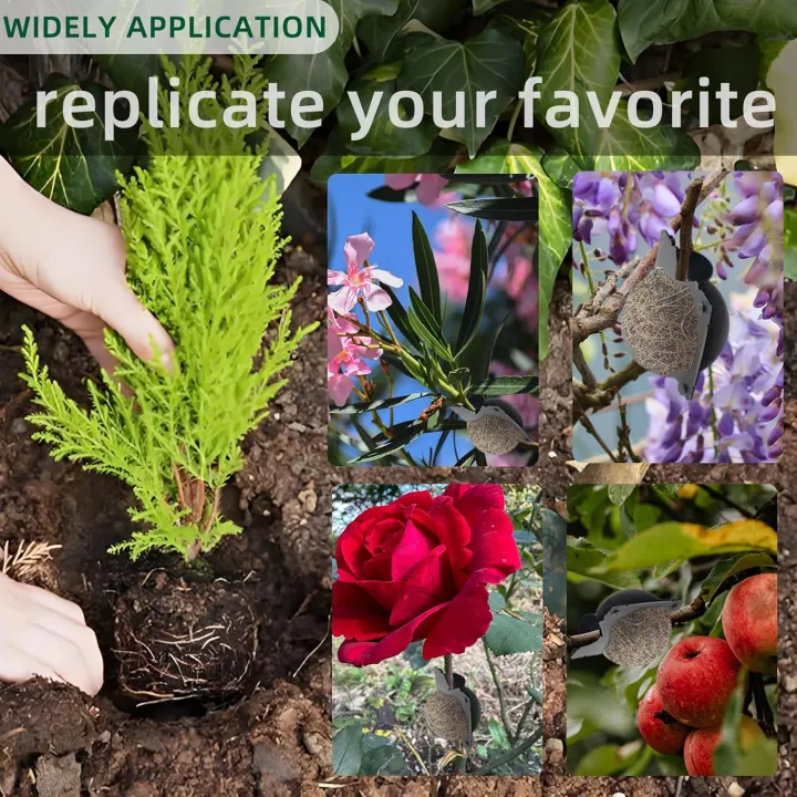 Air%20Layering%20Propagation%20Kit%201%20Set%20-%20Image%203