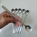 Rosy Long Handle pickling spoon 6 Pieces Stainless Steel Teaspoon Coffee Dessert Mixing Spoon Round Soup Spoon 8 inches. 