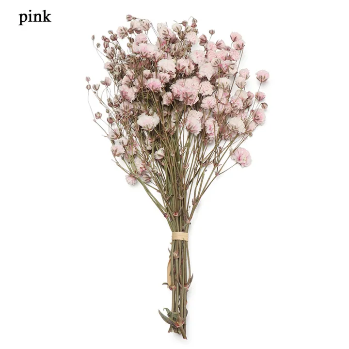 Small%20Natural%20Dried%20Flowers%20Bouquet%20Natural%20Dried%20Bouquets%20Fresh%20Dried%20Preserved%20Flowers%20Dry%20Flowers%20Press%20Home%20Wedding%20Decor%20-%20Image%207