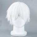 【Serendipity party】Male White Wig for Cosplaying  Characters Straight Short Synthetic Wigs. 