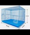 Large Squares Of Bangladeshi Premium Metal Bird Cage (2023) Size: 25 "× 19" Including All Accessories  Cash On Delivery Available. 