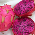 BARI-1 Dragon Fruit For Home Gardening - Cutting of Dragon Fruit Plant With roots (1 Piece). 