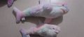Cross-border cute ah woo shark pillow big shark doll plush toy doll birthday gift women's batch found goods.