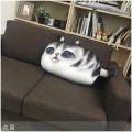 3D Creative PP Cotton Cute Cat Plush Pillow Backrest Printing Cushion Birthday Gift Trick Toys. 