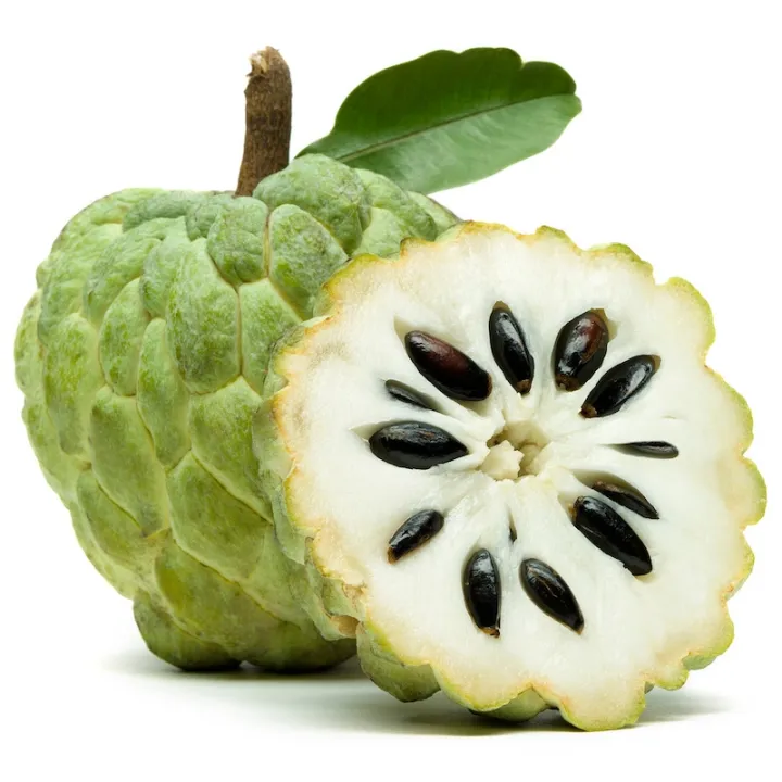 Sugar%20Free%20Organic%20Custard%20Apple%20Fruit%20Seeds%20For%20Gardening%20or%20planting%20-%2010Pcs%20%20Seeds%20-%20Image%202