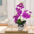 Orchid flower Artificial rubber tree plant for home decoration. flower, flowers, grass, hanging, wall, leaf, carpet, pot, cutter, light stand, indoor.