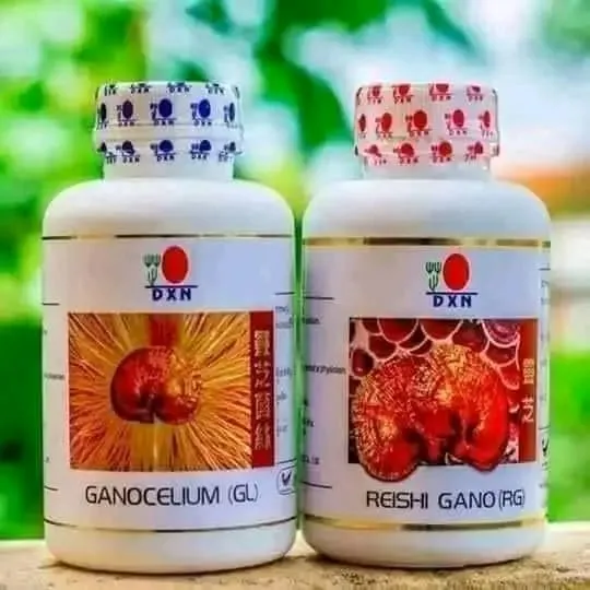 Reishi%20Gano%20Powder%2050g%20(RG)%20Ganocelium%20Powder%2080g%20(GL)%20-%20Image%203