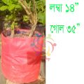triple bag for planting tree 1 pis.
