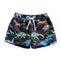 2021 Summer Kids Baby Boy Beach Shorts 0-4Y Toddler Dinosaur/Leaf/Tortoise Print Drawstring Shorts Bottom Holiday Beach Swimwear. 