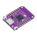 S2 Mini V1.0.0 WIFI IOT Board based ESP32-S2FN4R2 ESP32-S2 4MB FLASH 2MB PSRAM Compatible with Arduino MicroPython. 