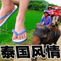 Thailand Elephant Slippers Men's Summer Flip Flops Men's Non-Slip Rubber Bottom Beach Flip Flops Flat Clogs.