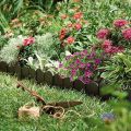 Garden Lawn Edging - 20 Pack Landscape Border Flexible Interlocking Edging Plastic Palisade Fence DIY Decorative.