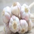 Big Garlic (Rosun)-- 1 Kg. 