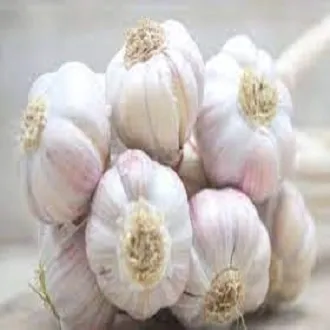Big%20Garlic%20(Rosun)--%201%20Kg%20-%20Image%203