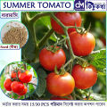 Summer Tomato - 15/30 pcs  F1 Hybrid Seed -  গ্রিষ্মকালিন টমাটো হাইব্রিড বিজ অসময় বা বারমারই বপন করা যায়. 