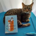 We'll Prescribe You a Cat by Syou Ishida (Author), E. Madison Shimoda (Translator). 