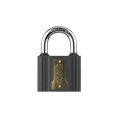 INGCO 63mm Iron padlock With 3 pcs iron keys DIPL0601. 
