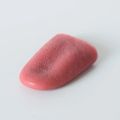 Magic Realistic Fake Tongue  Prank Tools. 