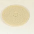 Floor Machine Pad 17". 
