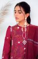 QALAMKAR QLINEKARI Chickenkari Embroidered with Embroidered Chiffon Dupatta  Pakistani Dress  Salwar Kameez  Three Piece - Latest Three Piece Dress Collection.. 