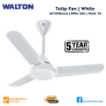 Tulip Ceiling Fan, Size: 36 inch/ 900mm, RPM: 540, Watt: 78, 05 Years Replacement Guaranty, A product of Walton. 