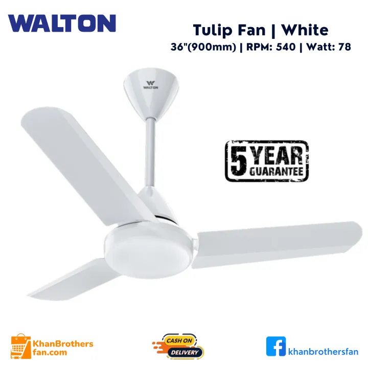 Tulip Ceiling Fan, Size: 36 inch/ 900mm, RPM: 540, Watt: 78, 05 Years Replacement Guaranty, A product of Walton