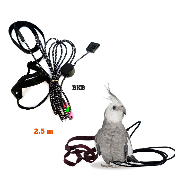 Adjustable%20parrot%20Bird%20Aviator%20Harness%20Leash%20Anti-Bite%20Flying%20Training%20Rope%20Pet%20Outdoor%20Traction%20Fit%20Cockatiel%20coniur%20ringneck%20parrot%20%20@%20others%20birds%20-%20Image%206