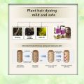 Sevich Hair Color Shampoo 5pcs/lot 15mis Moisturizing hair dye shampoo Natural organic temporary red hair dye.