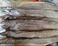 Shutki-Churi Dry Fish-1 kg. 
