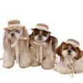 New Elegant Pet Woven Straw Hat for Cat Sun Hat Ribbon for Small Dogs and Cats Beach Party Straw Costume Accessories To Act Cute. 