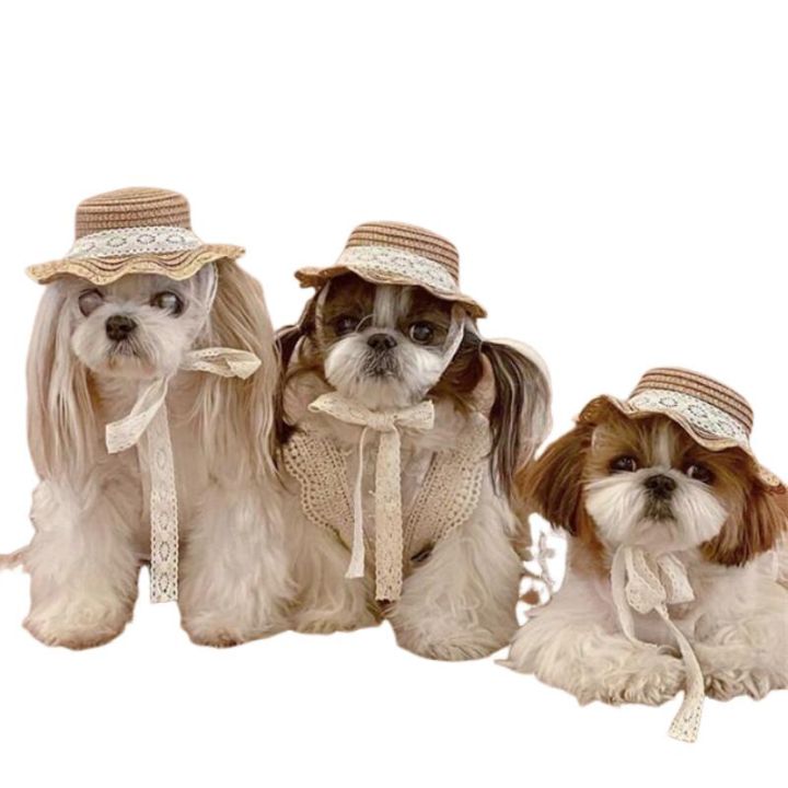 New%20Elegant%20Pet%20Woven%20Straw%20Hat%20for%20Cat%20Sun%20Hat%20Ribbon%20for%20Small%20Dogs%20and%20Cats%20Beach%20Party%20Straw%20Costume%20Accessories%20To%20Act%20Cute%20-%20Image%202
