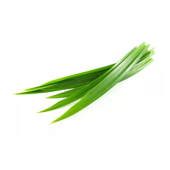 Polapoo Plant Polao Pata Small Pandan Tree Plant (শুধু পোলাও পাতা) | Daraz.com.bd