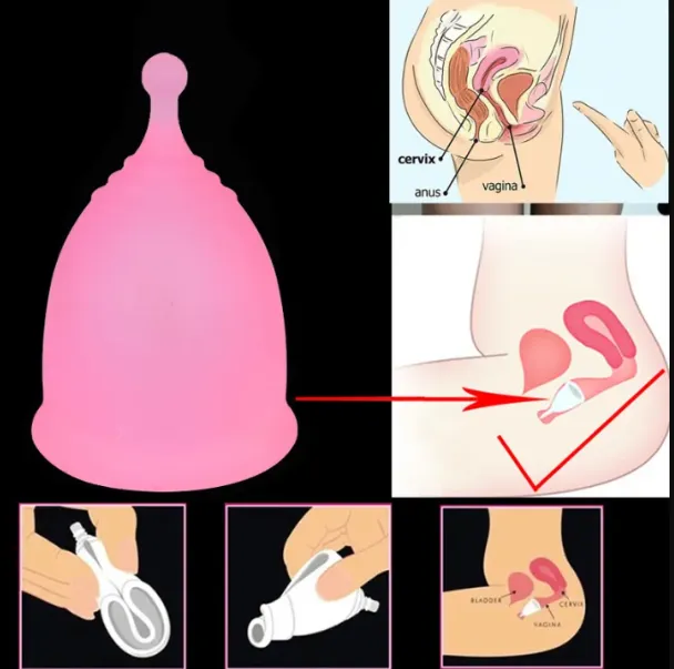 Silicon%20Menstrual%20Cup%20for%20adult%20women%20-%20Image%203