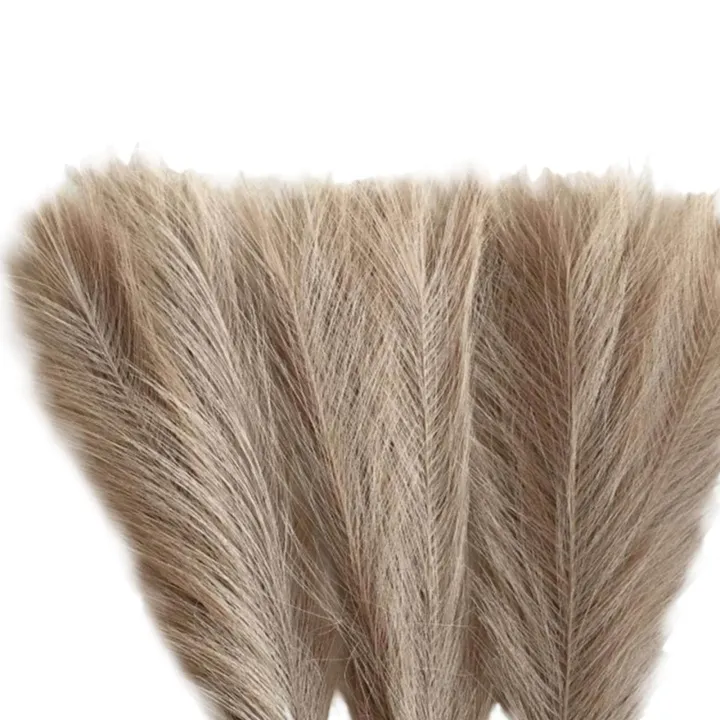 3Pcs%20Dried%20Pampas%20Grass%20Flower%20Arrangement%20Phragmites%20Reed%20Flower%20for%20Wedding%20Farmhouse%20Decor%20-%20Image%205