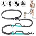 Cute #Lake Blue Direct pet supplies multi-function running reflective pull dog leash double elastic dog leash traction. 