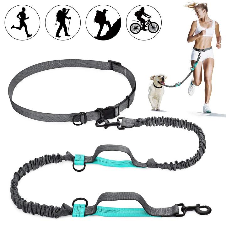 Cute%20#Lake%20Blue%20Direct%20pet%20supplies%20multi-function%20running%20reflective%20pull%20dog%20leash%20double%20elastic%20dog%20leash%20traction%20-%20Image%203