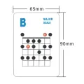 Guitar Chord and Scale Learning Cards 49Pcs Guitar Flash Cards Guitar Chord Cards for Acoustic and Electric for Learn Practice Teach. 