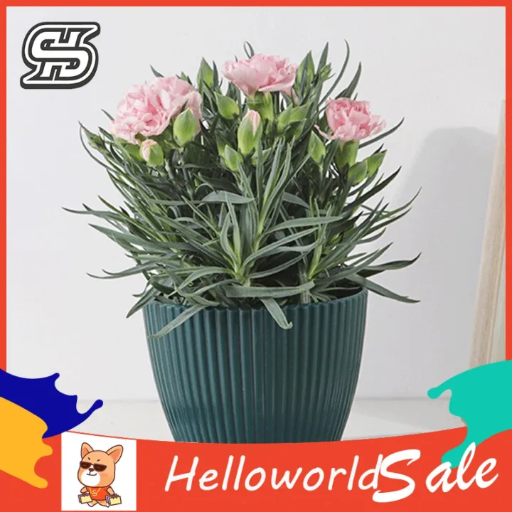 HelloWorld%20Round%20Flower%20Pot%20Corrosion%20Resistant%20Smooth%20Surface%20Flower%20Pot%20-%20Image%207