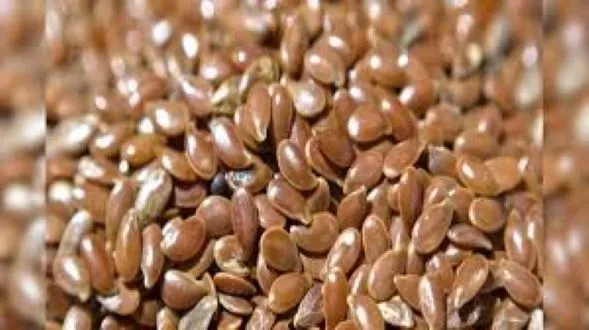 Brown%20Flax%20Seeds%20(Tishi%20Seed)-500Gmn(Clean)%20-%20Image%205