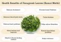 Kasuri Methi Leaves /Dried Fenugreek Leaves - 25g. 