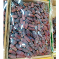 Premium Mabroom/Moriom Dates Vip. 