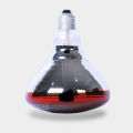 250w Infrared Heat Bulb Light Chicks Pets Therapy Light Incandescent Lamp White finish glass heat infrared lamp halogen bulb ir lamp Room Heater Light.