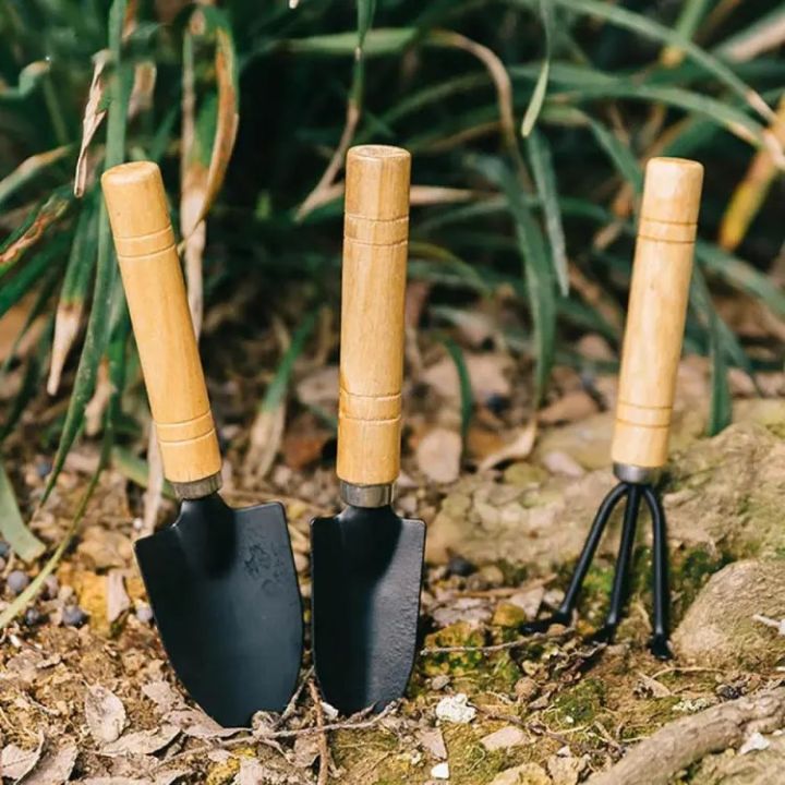 3%20pcs%20Large%20Garden%20Tools%20Set%20Garden%20Tools%20Set%20Small%207"%20-%203%20PCS%20gardening%20tools,%20Garden%20tool%20-%20Image%206